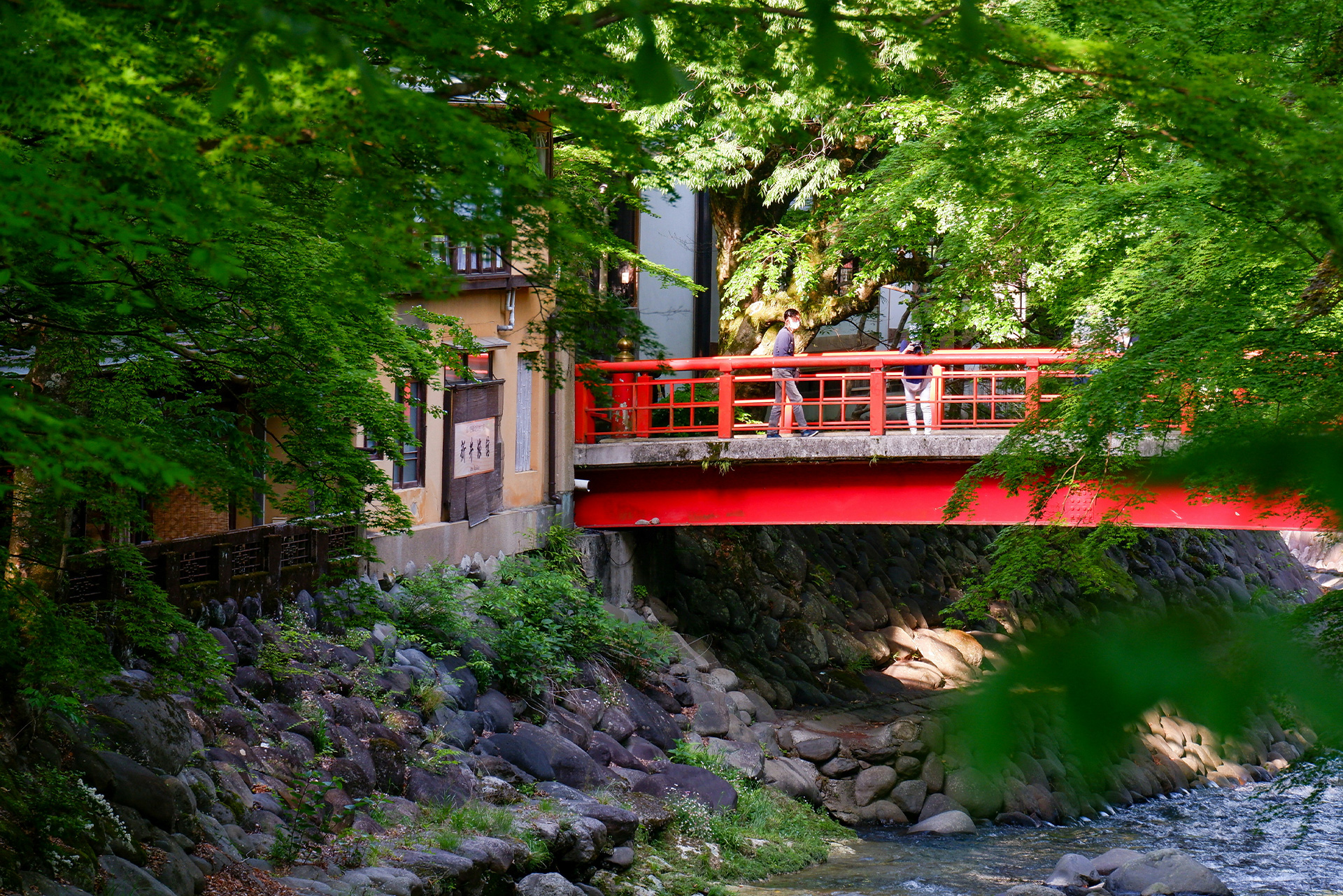 380坪超の敷地で伊豆高原の自然を感じるラグジュアリー空間