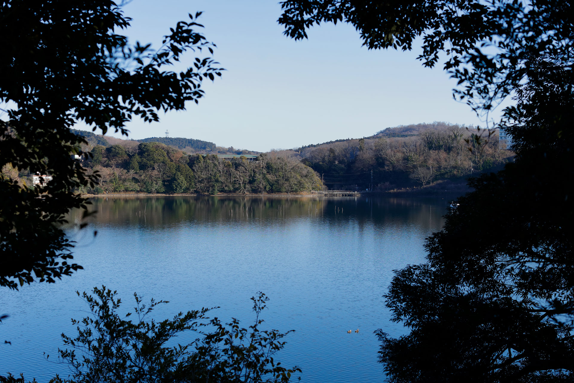 雄大な一碧湖を望むリゾートユニット