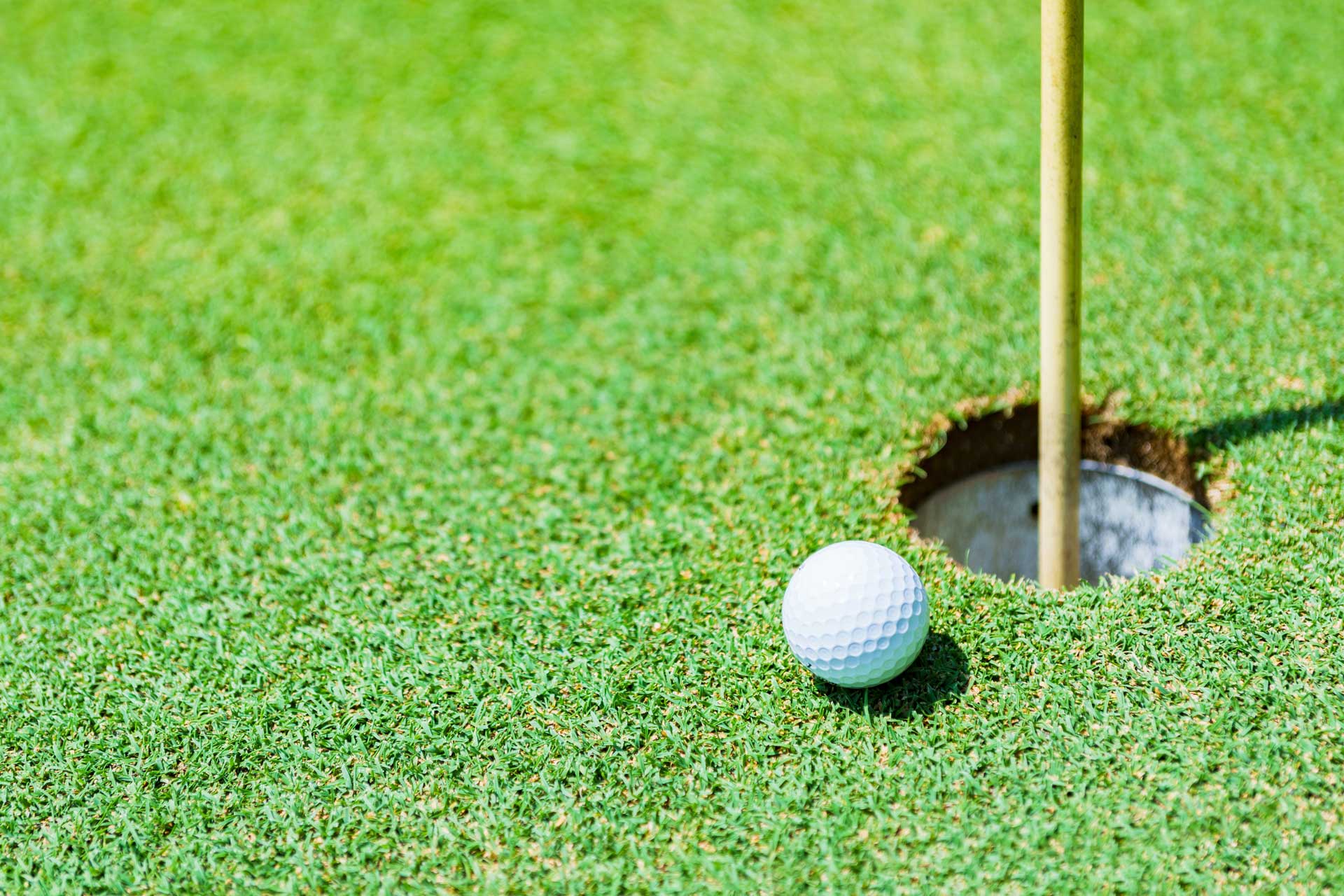 川奈ゴルフやマリーナ至近、アクティブなリゾートライフの拠点