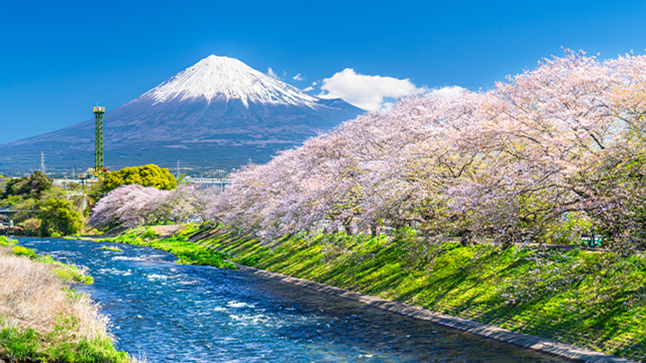 富士山と清流