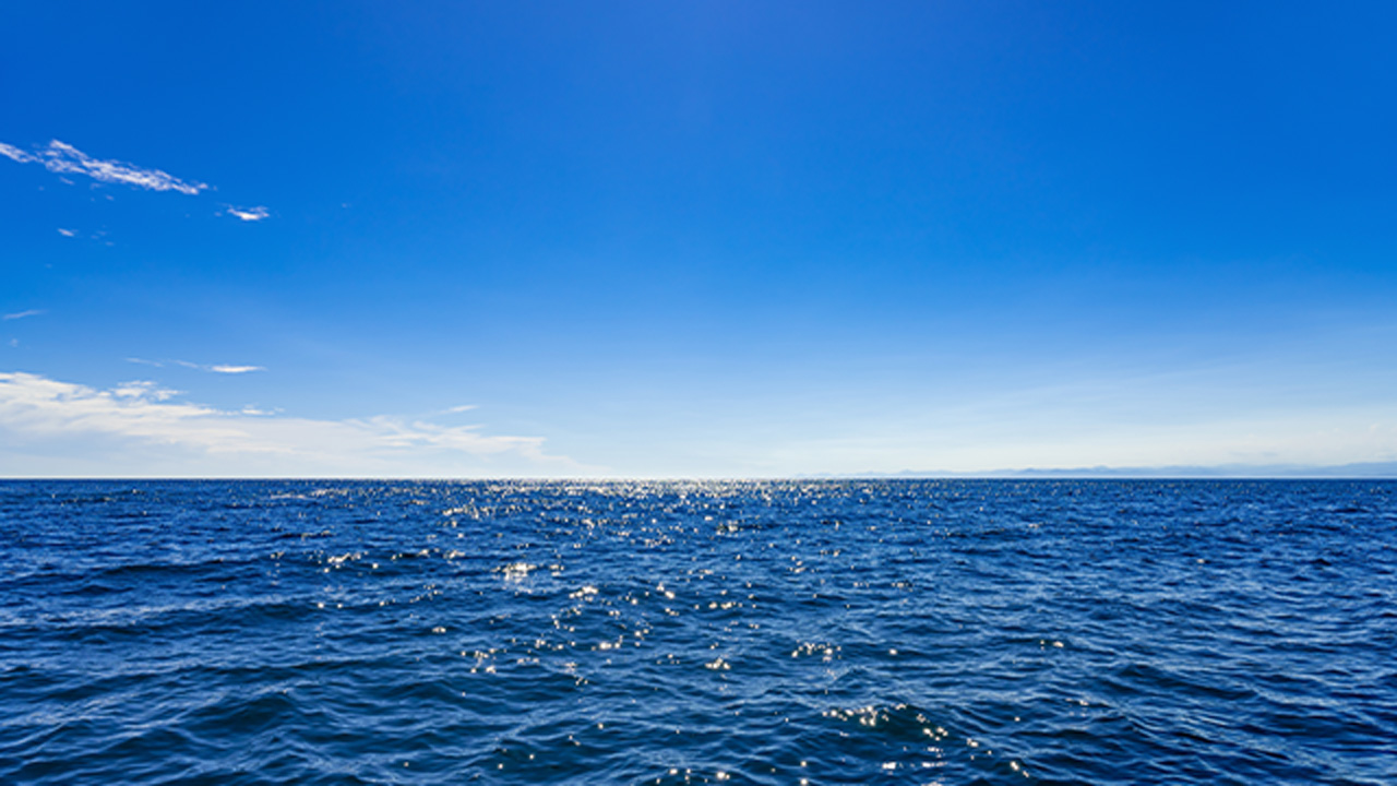 駿河湾の海原